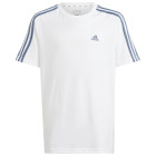 WHITE/PRLOIN